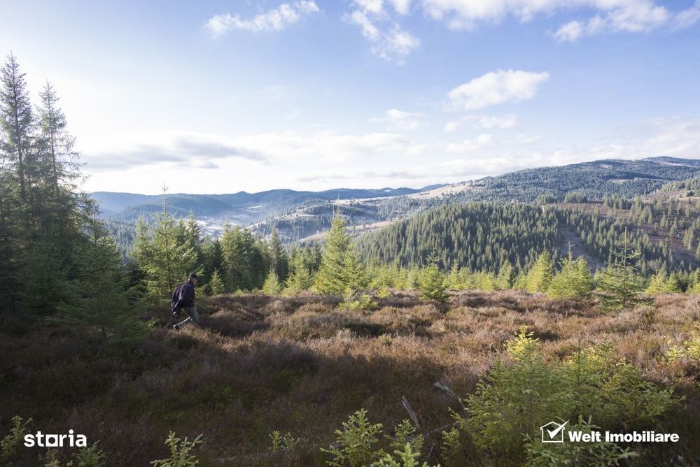 Se vinde teren cat un munte in Apuseni - Poiana Horea