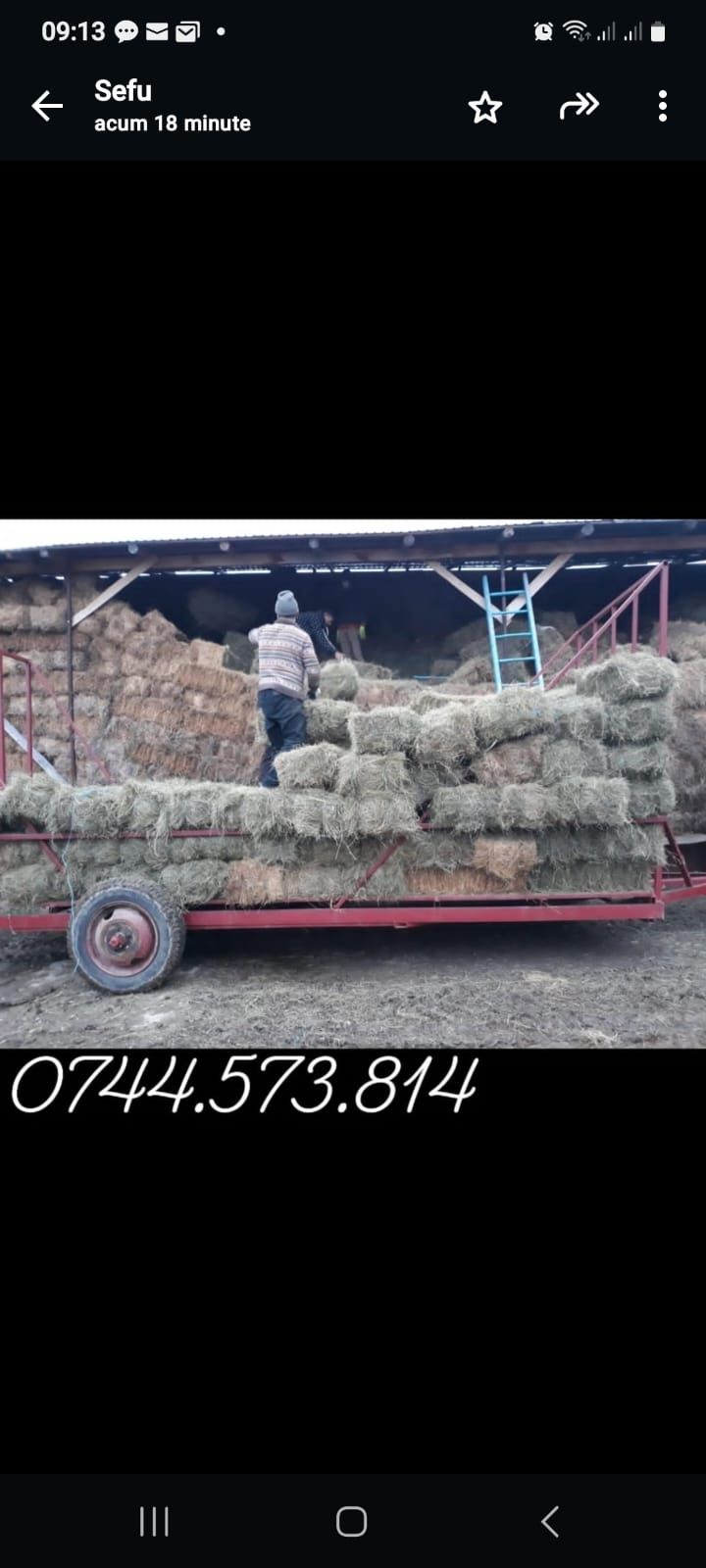Baloti rotunzi lucerna c1.Se asigura Transport.Baloti fan drept min500