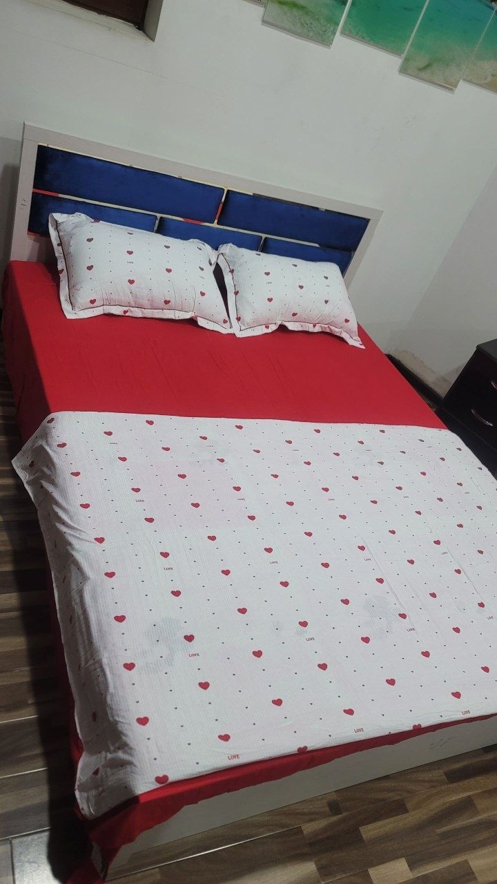 Mehmonxona Bez zaks 100% tinch