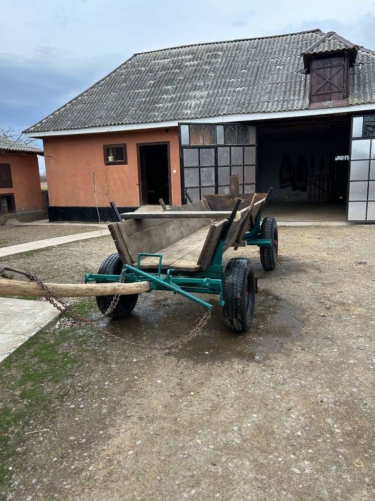 Căruță de Satu Mare