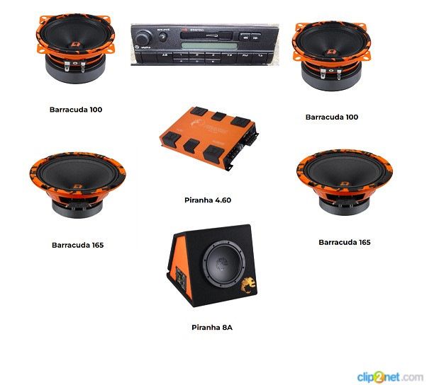 DL Audio usilitel & kolonki