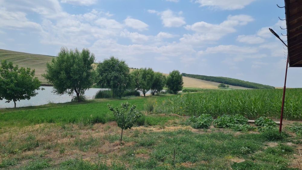 Balta peste, balta populata, luciu de apa