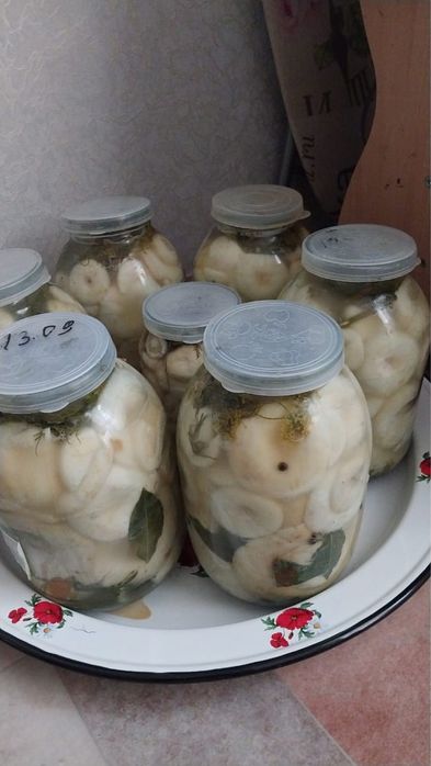 Продается Грибы, грузди,