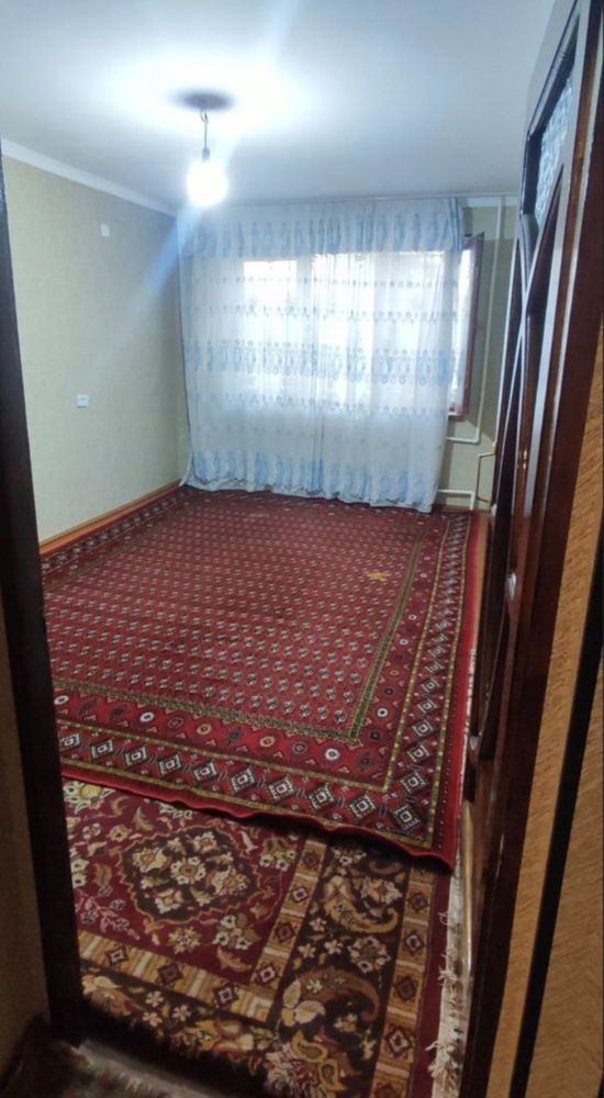 Йигитларга квартира ижарага