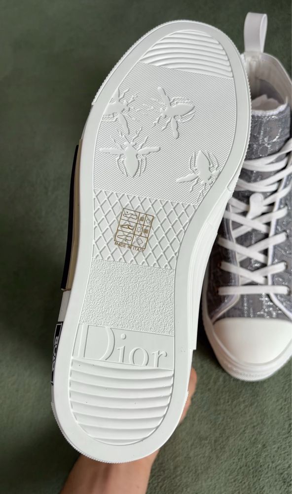 Dior b23 oblique rhutenium