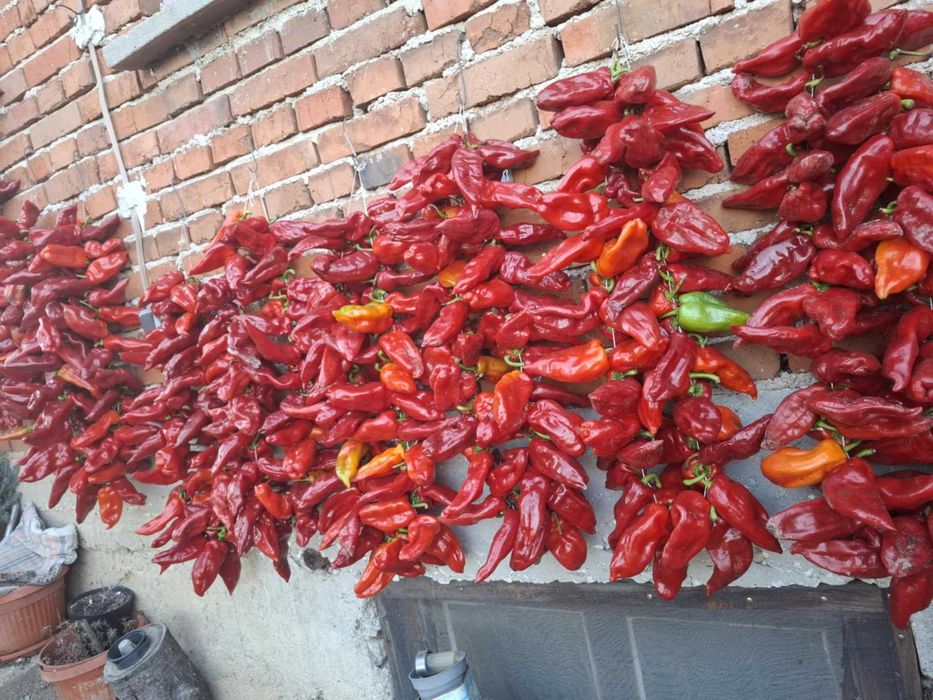 Сушени червени чушки – естествено изсушени