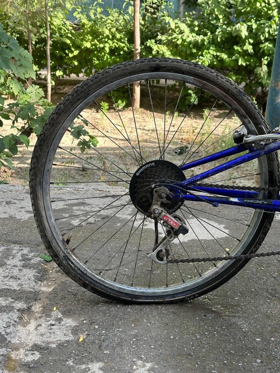 Velosiped arzon narxda