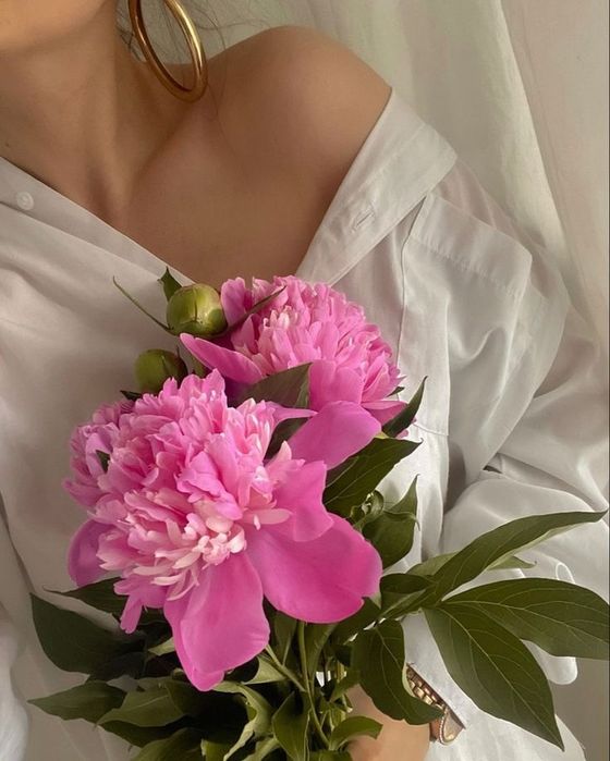 Массаж 24/7 ерлерге