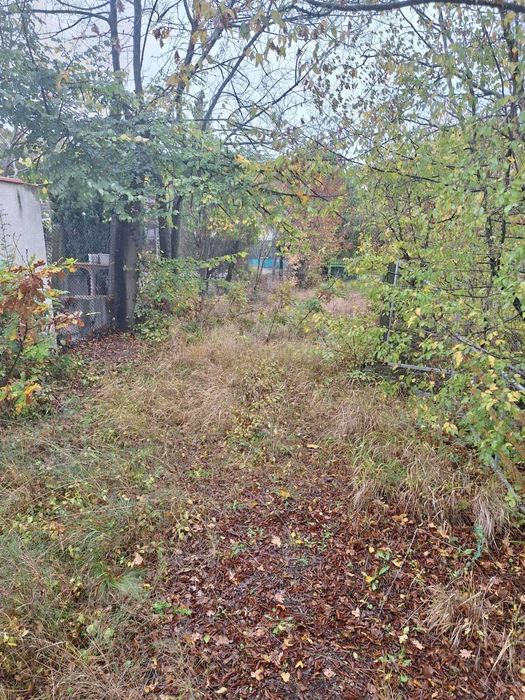 Парцел с постройка в село Кошарица