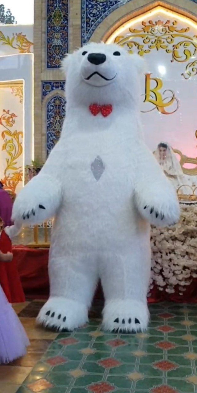 Ayiqlar va animatsiyalar xizmati