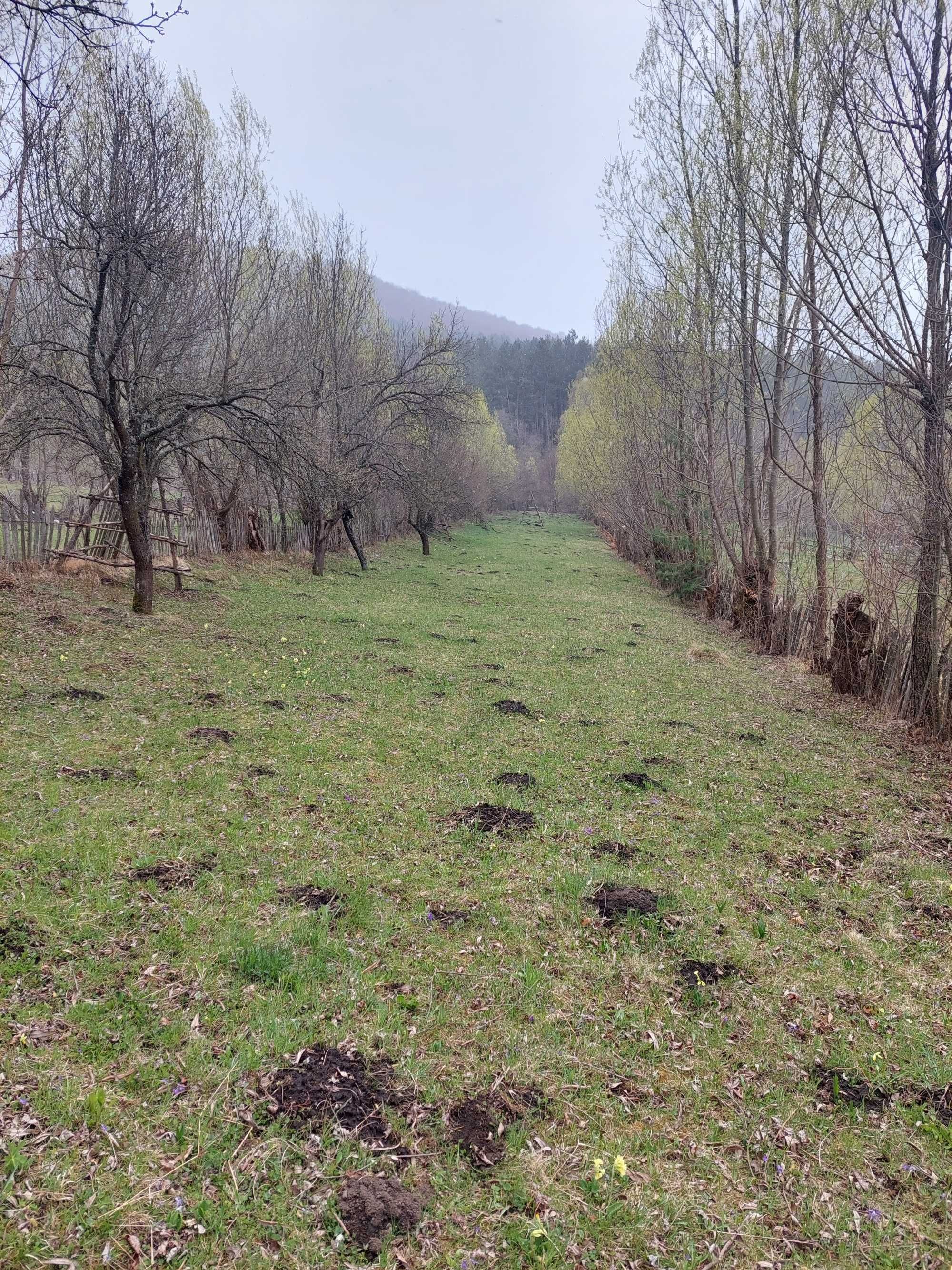 Teren Valea Doftanei 3750mp