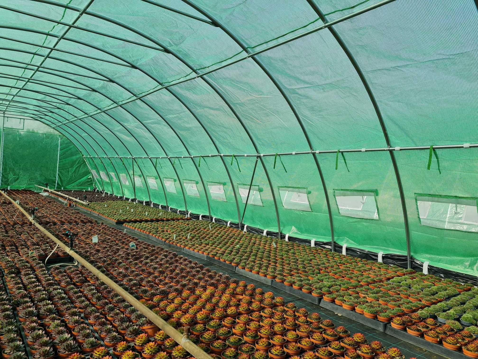 6x10 m Solar de gradina , teava galvanizata Diametrul 38 mm