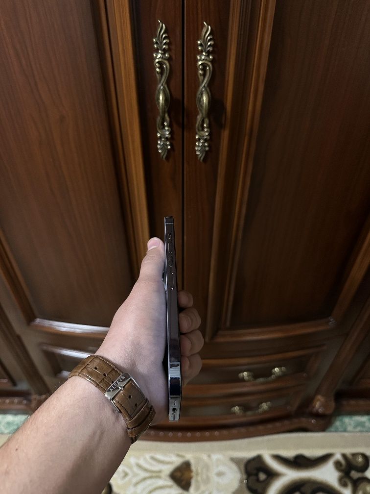 iPhone  13 Pro Max