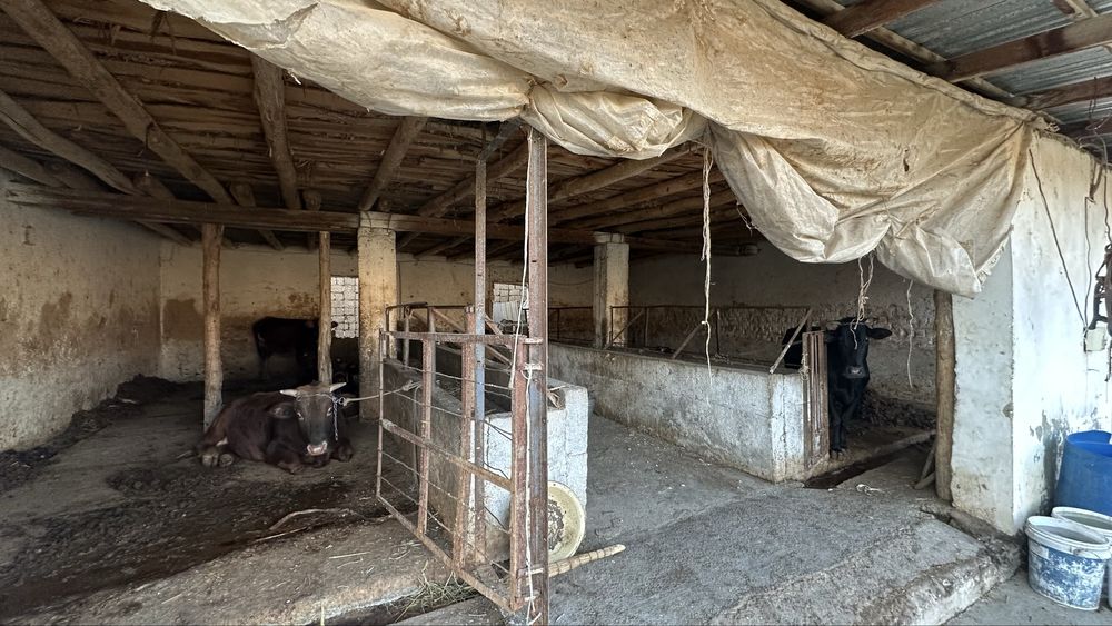 Продается участок в Борданколе Бардонкол Бордонкул бизнес