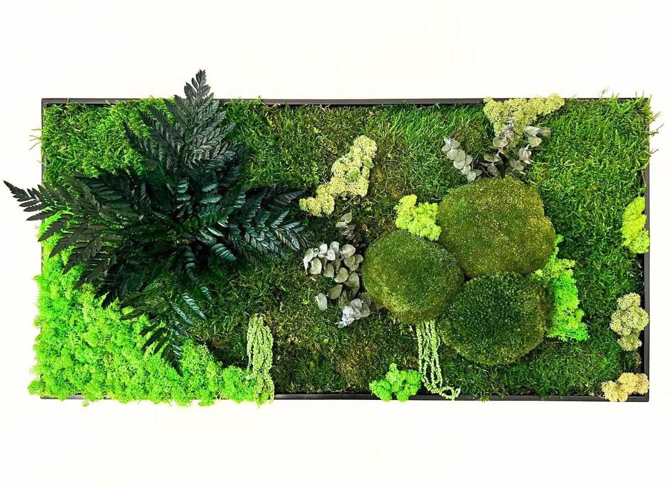 Tablou cu licheni, mușchi naturali stabilizați și plante criogenate