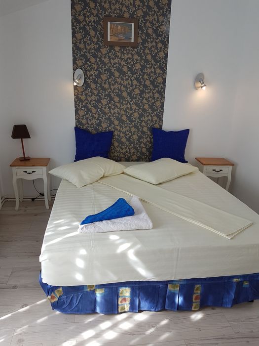 Vila pentru petrecerea Revelionului in Eforie Nord