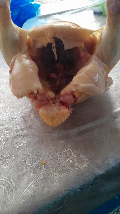 Бройлер, домашний,тушка