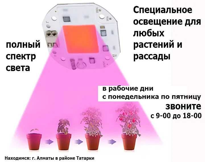 фито-лампы свето-диоды освещение в теплицы и для комнатных растений