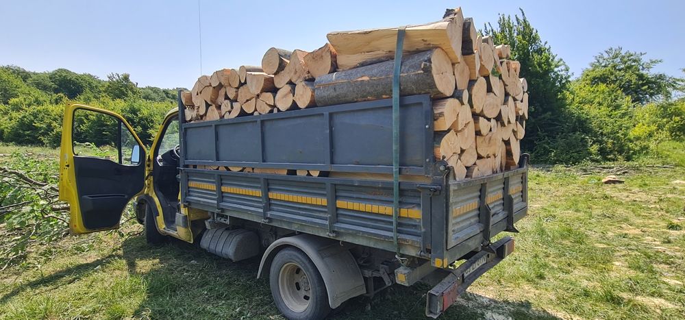 Lemne uscate pentru foc