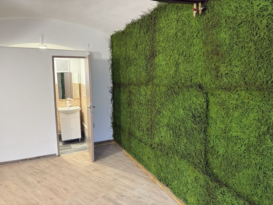 Inchiriez spatiu ultracentral - ARAD