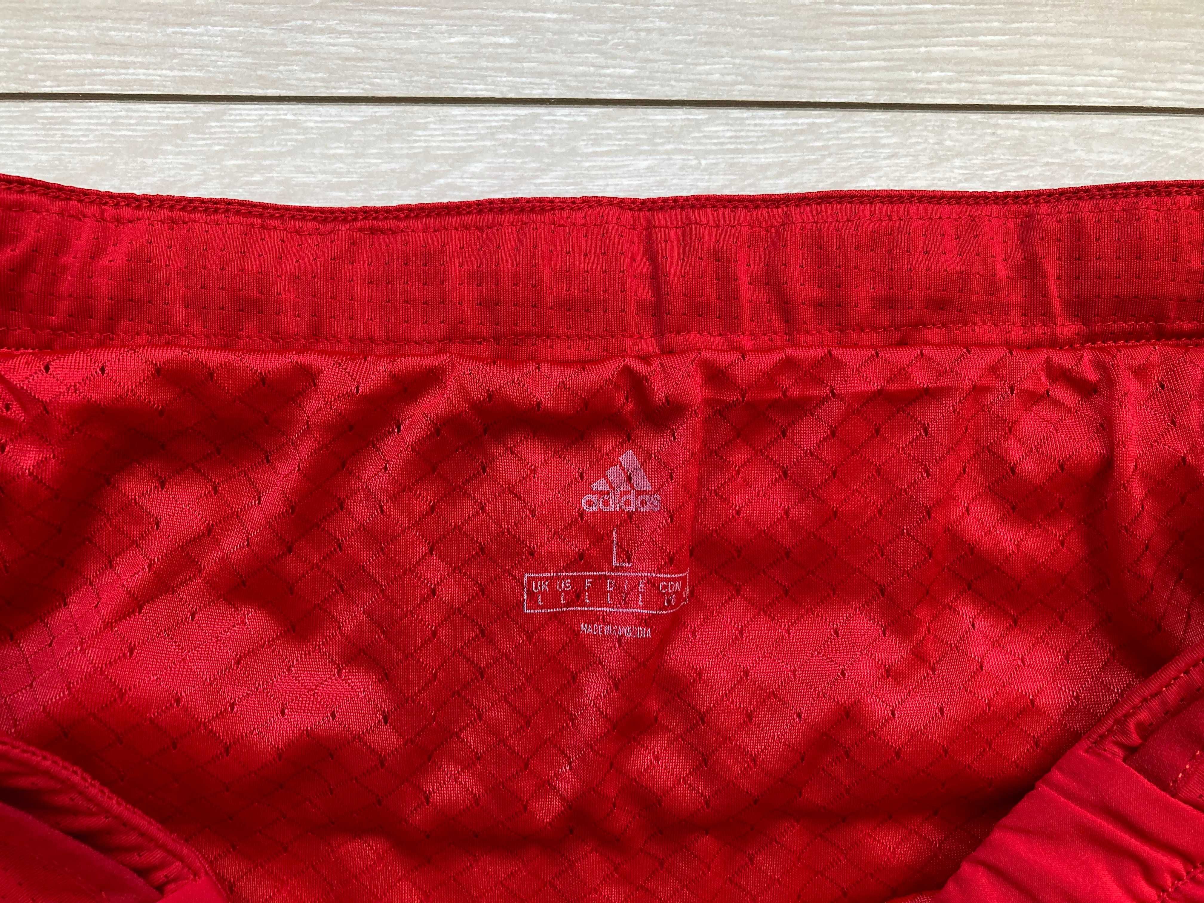 Адидас Adidas Trail Terrex къси панталони къс панталон шорти размер L