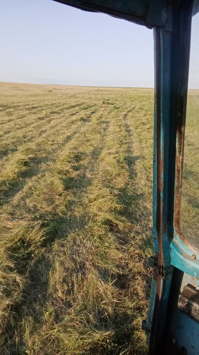 Сено шоп тюк  самовывоз