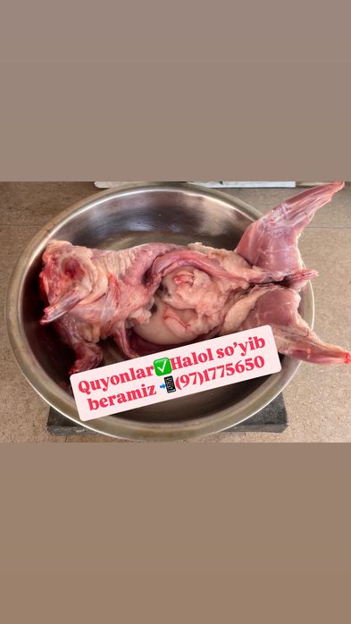 Tirik quyonlar bor, so’yib beramiz