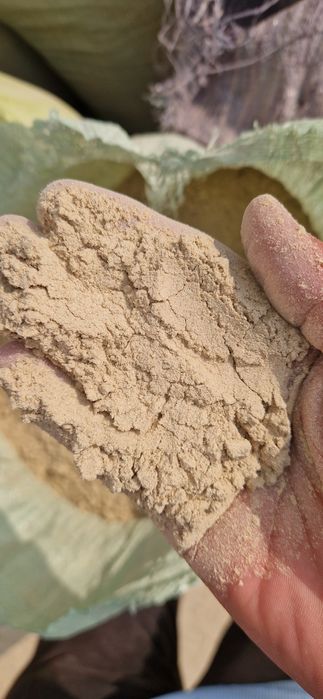 Sholi po'chogini un Holata chiqarilgani bor