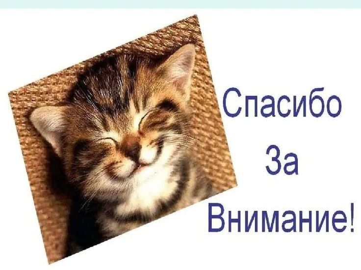 Котята в хорошие руки