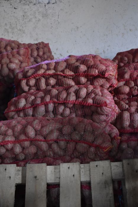 Cartofi de consum albi