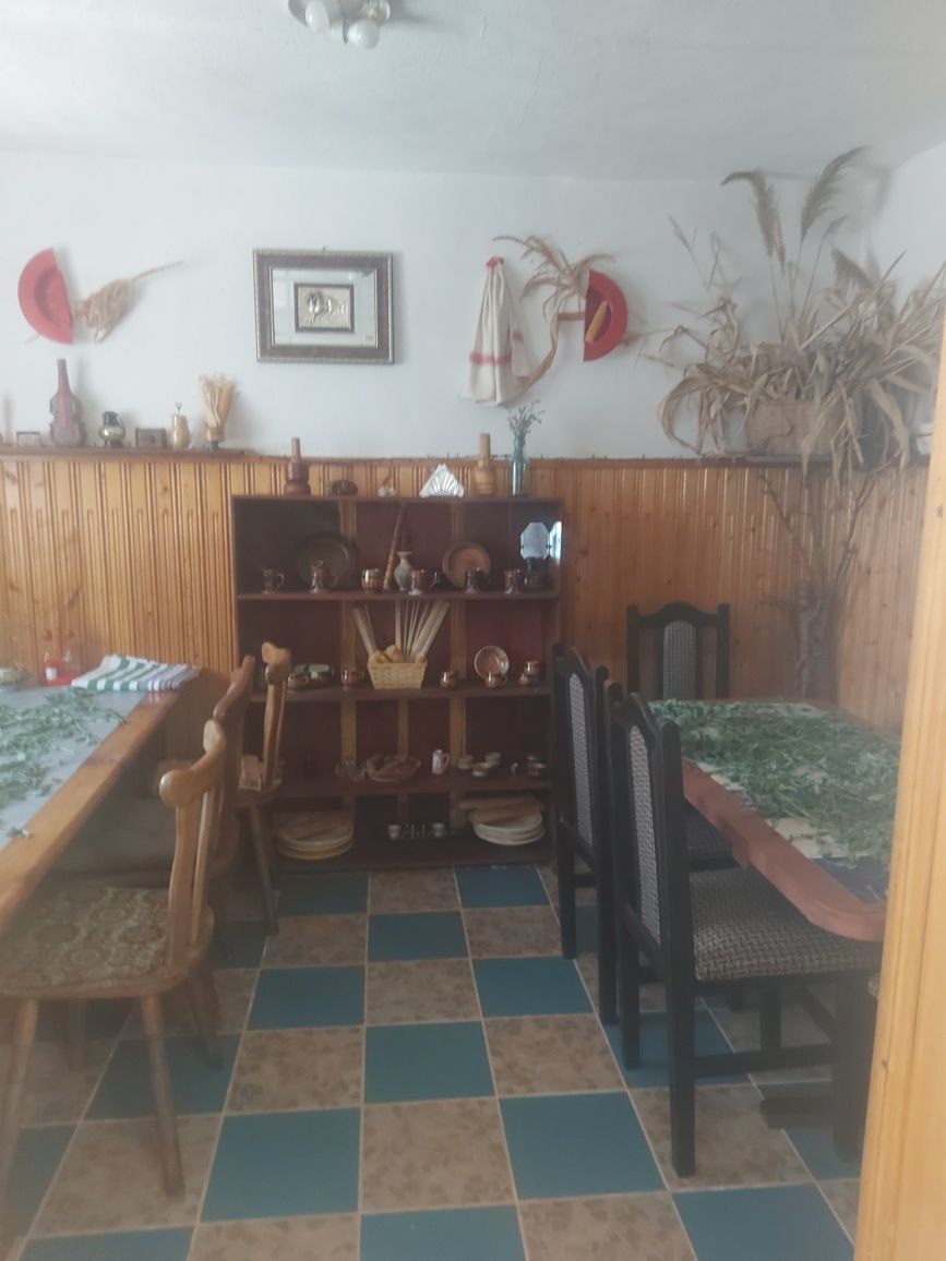 Casă spațioasă la țară, ideală pentru locuit,  cu potențial turistic