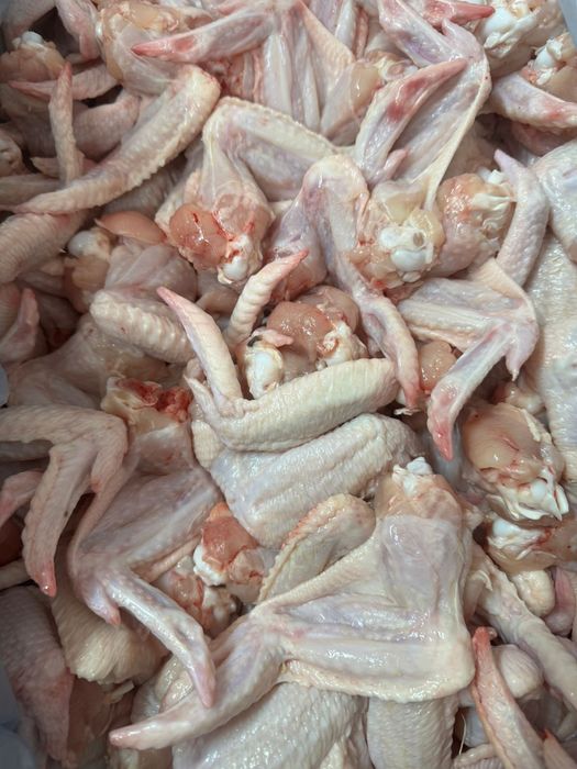 Куриная продукция оптом и в розницу