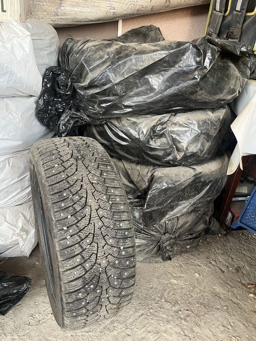 4 зимнее коласа