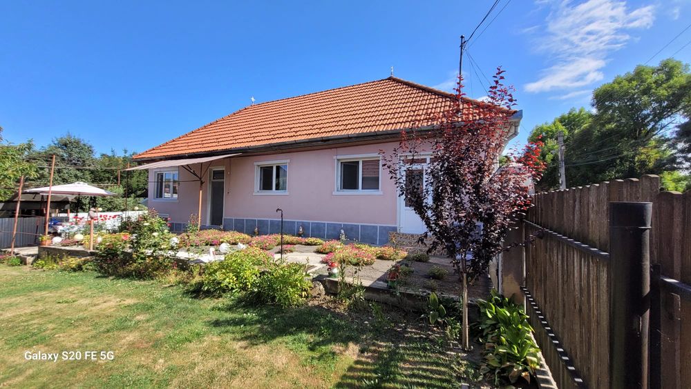 Casa și curte zona centrala