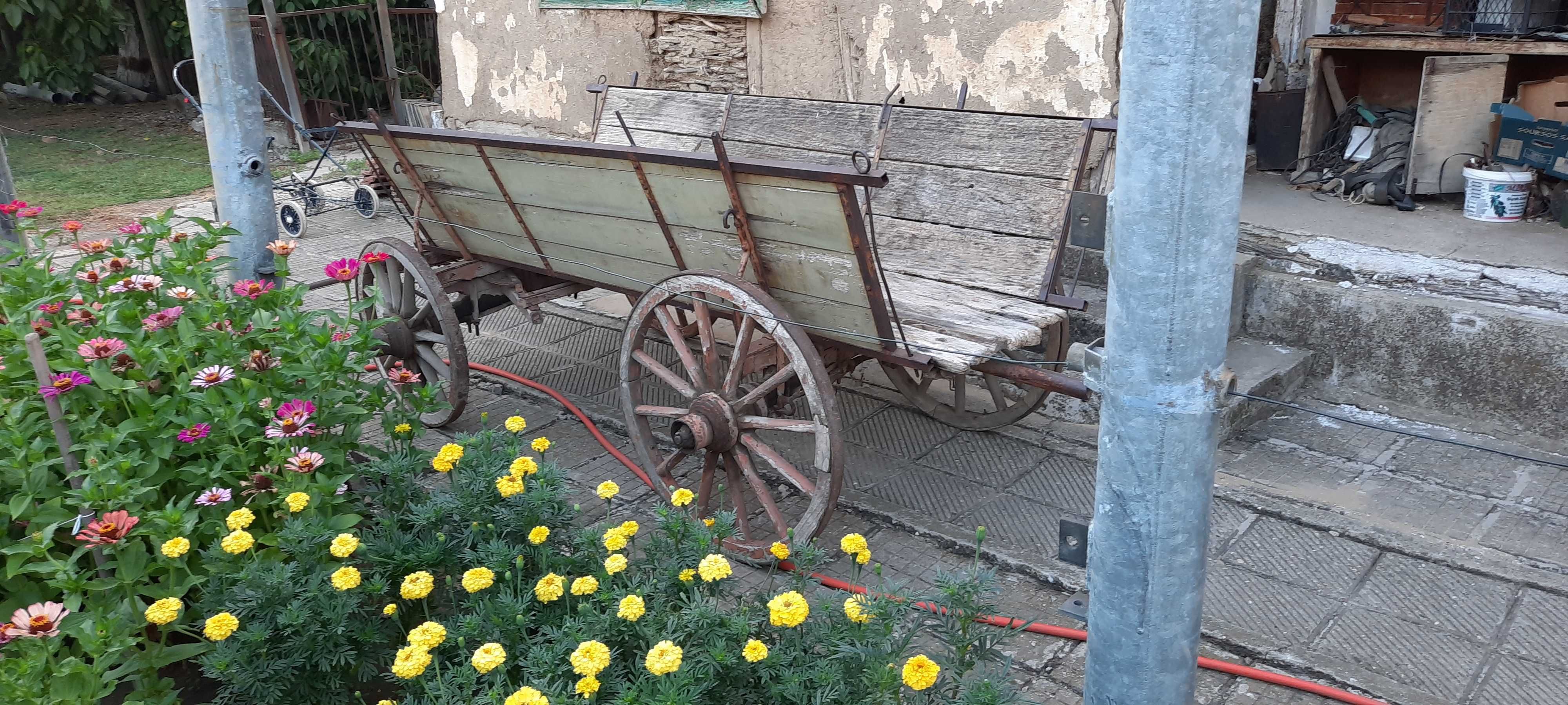 Продавам магарешка Каруца