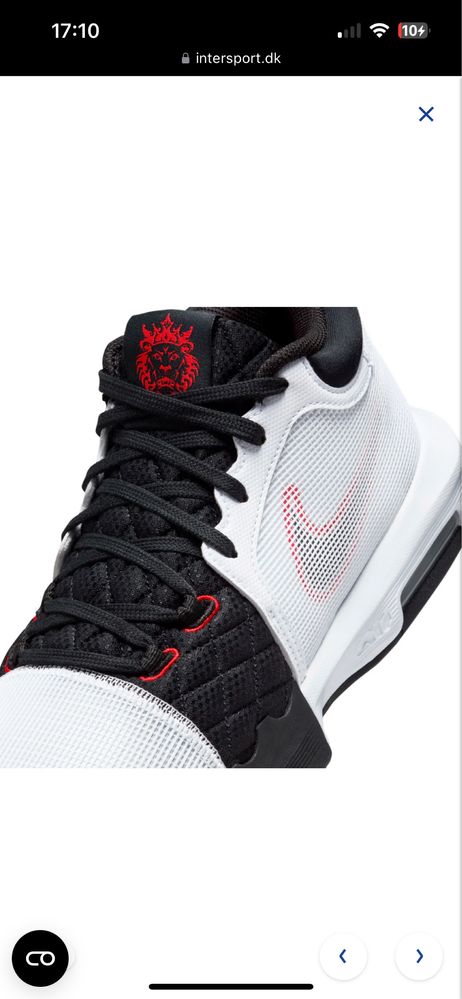 Lebron witness 8