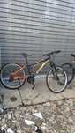Biciclete ca noi