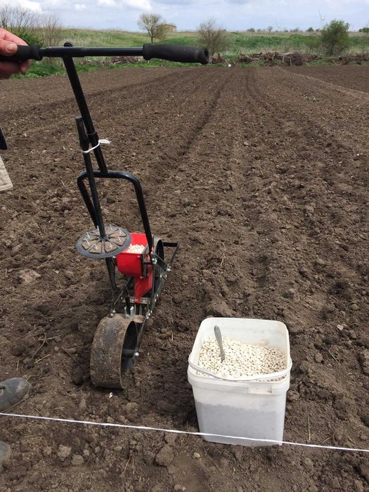 1835 кв.м Дворно място / Парцел с УПИ в с. Кардам, общ. Генерал Тошево