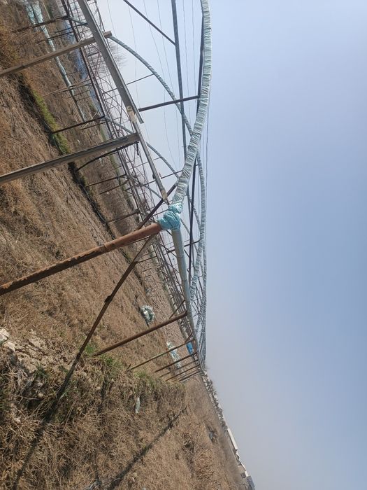 Issiqxona sotiladi faqat klyonkasi yuq boshqa xamma narsani bor