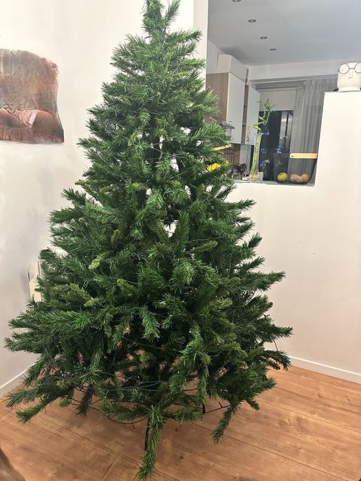 Brad de Craciun 2.1m