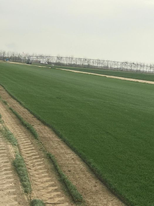 Gazon   Rulou   Sisteme  de   Irigatii   Automatizate