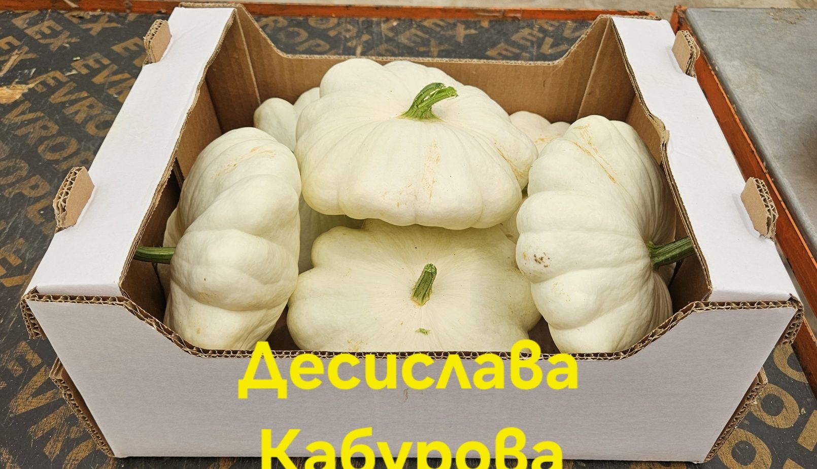 Декоративни тикви