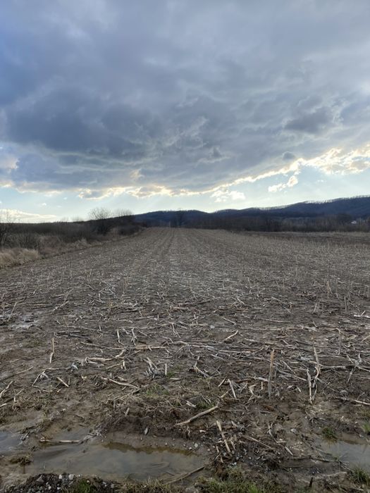 Vand Teren Intravilan Lacul Surduc-Fârdea