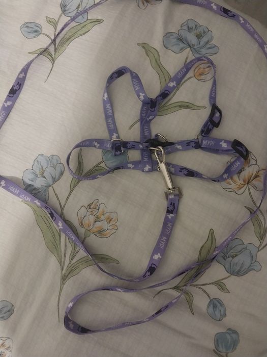 кошачий поводок новый