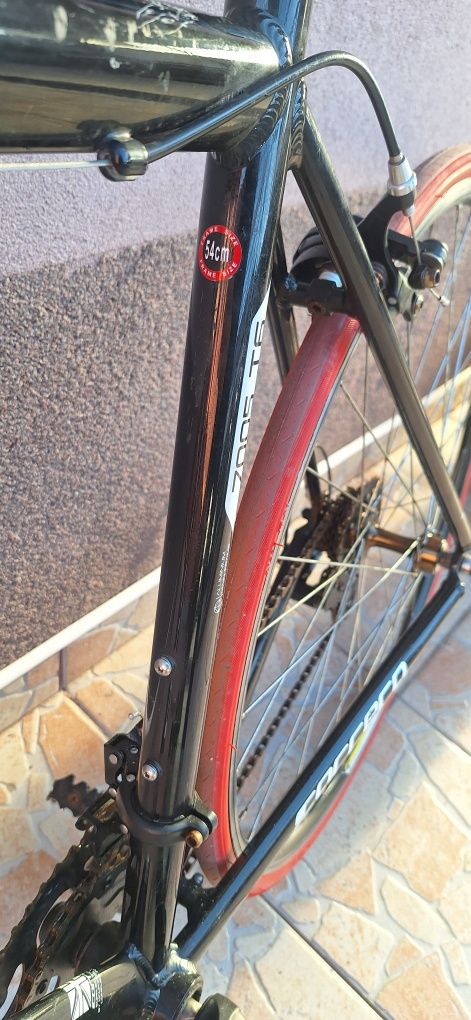 Cursiera Carrera 7005 T6