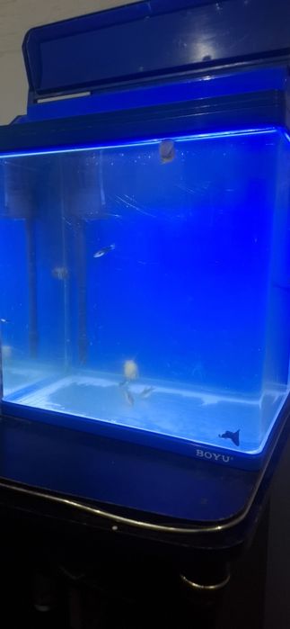 Аквариум с комплект