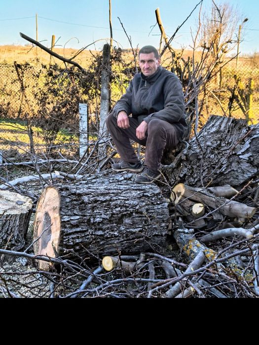 Рязане на дърва за огрев и кастрене на дървета