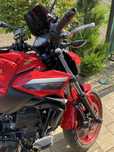 Kawasaki Z650 An 2022 Limited Edition