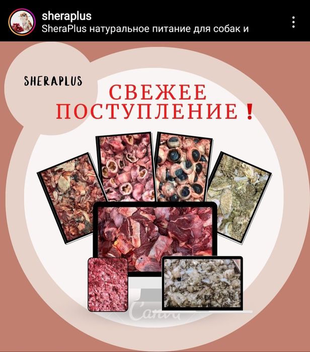 Натуральный мясной корм мясо для собак и кошек