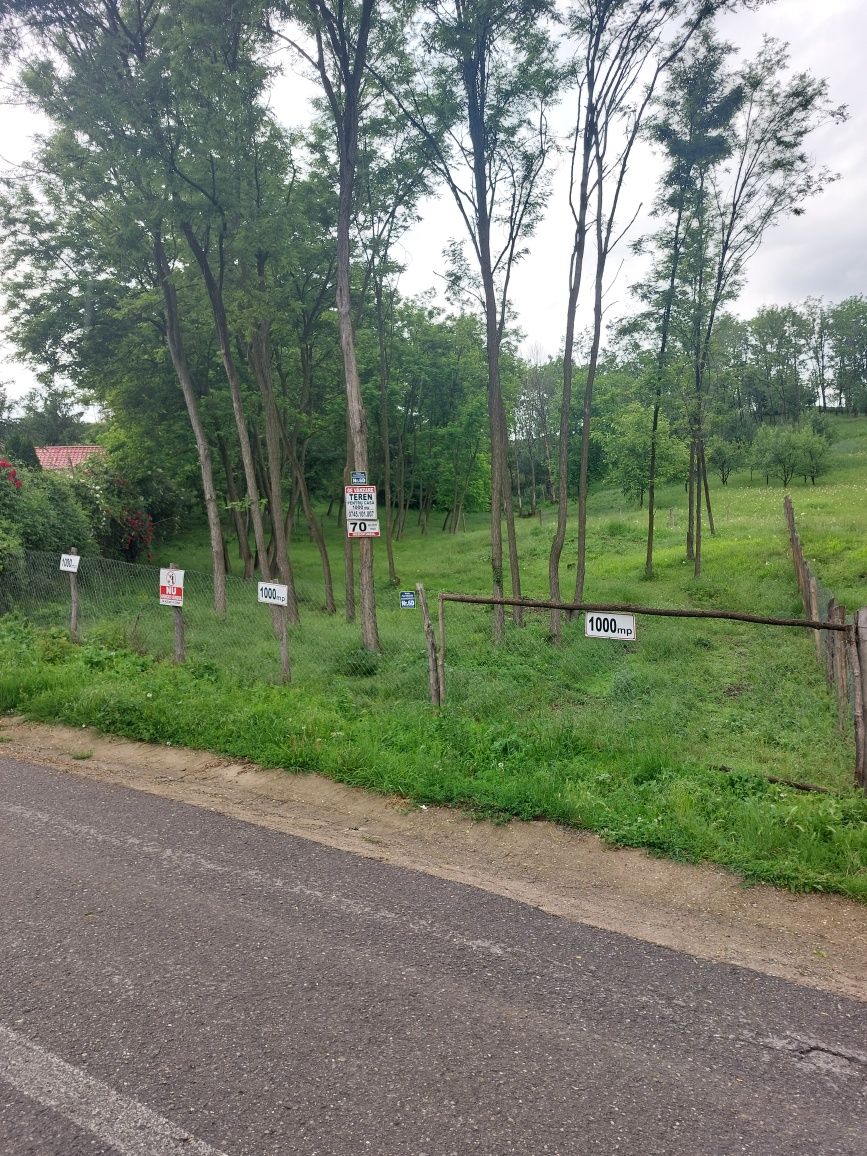 Vălenii de Munte, strada Poet Grigore Alexandrescu - teren bun pt casă